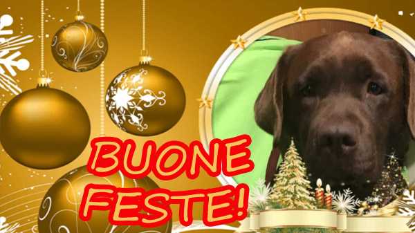 Labradormania - Buone feste!